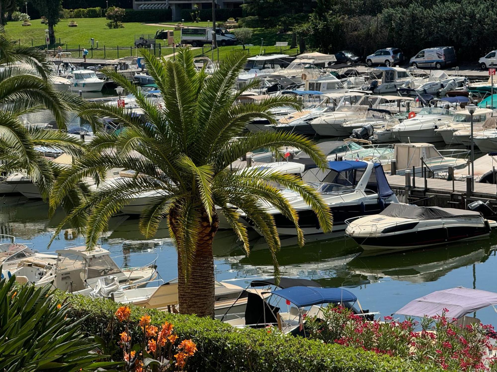My Resid Appart Cannes Marina Vue Piscine Mandelieu 外观 照片